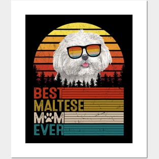 Vintage Best Maltese Mom Ever Posters and Art